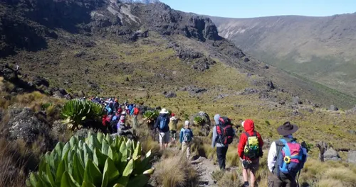 Mt Kenya Trek